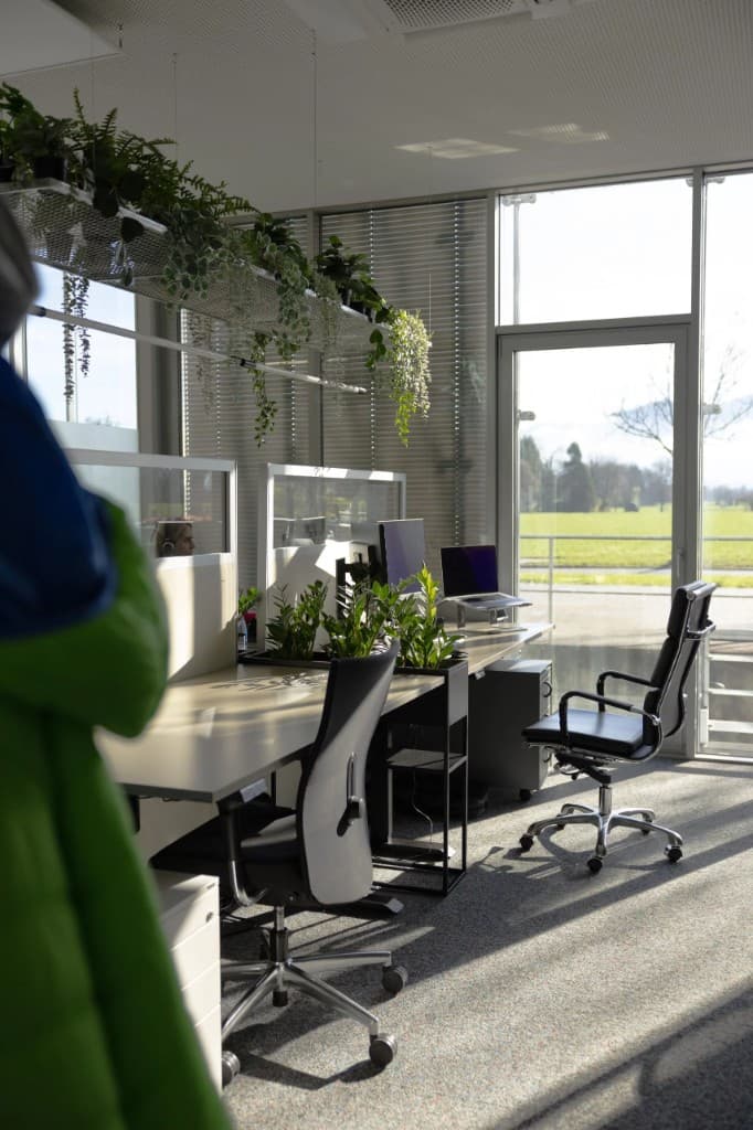 Modernes Coworking bei GlessHub mit hellen Arbeitsplätzen, Pflanzen und großen Fenstern